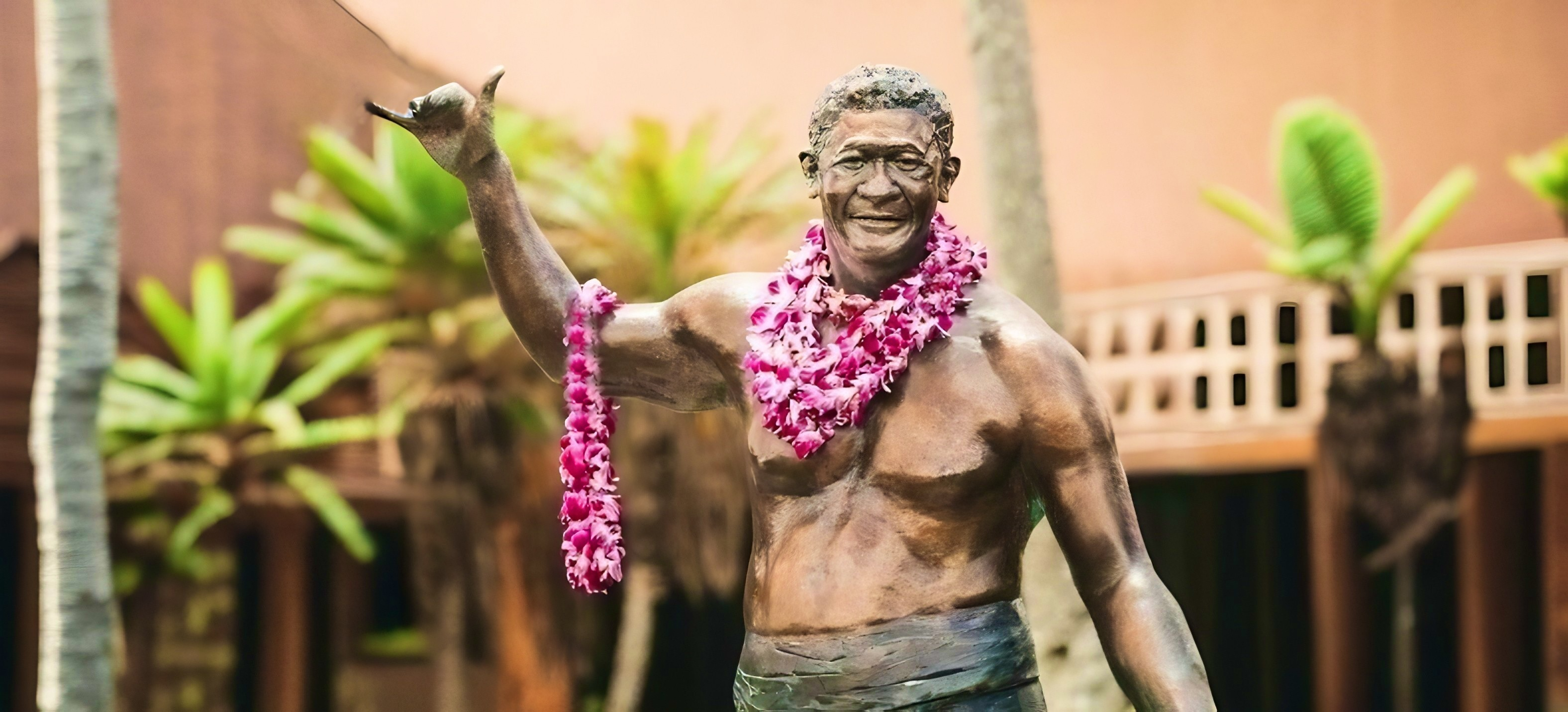 Ikigai with Aloha – ShakaLife.org